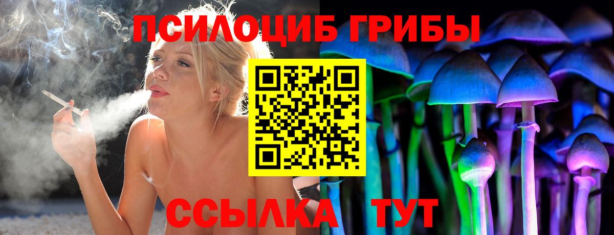 Псилоцибиновые грибы MAGIC MUSHROOMS  Вход с VPN  Пермь 